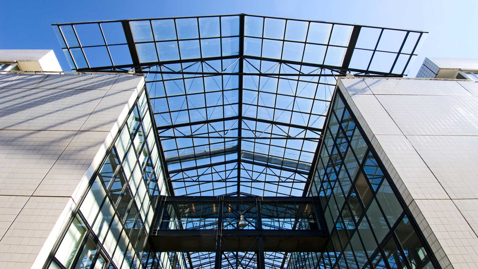 HWR Berlin, Campus Lichtenberg, "Fischbauch", Brain City Berlin