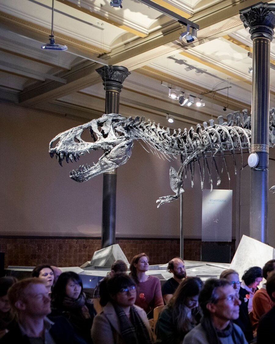 Dinosaurierskelett Tristan im Museum für Naturkunde Berlin