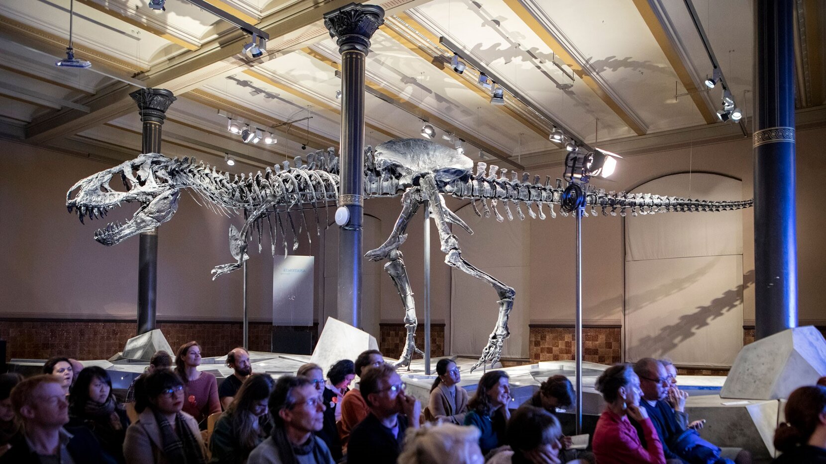 Dinosaurierskelett Tristan im Museum für Naturkunde Berlin