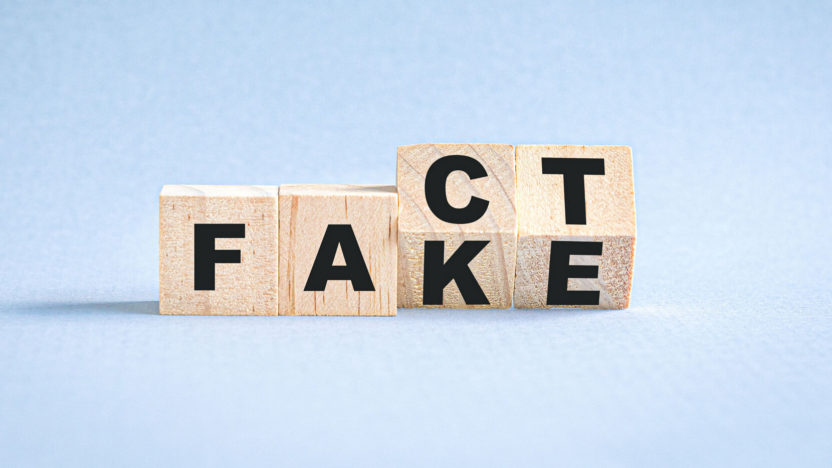 Wendewürfel mit den Worten "Fact/Fake"; Brain City Berlin