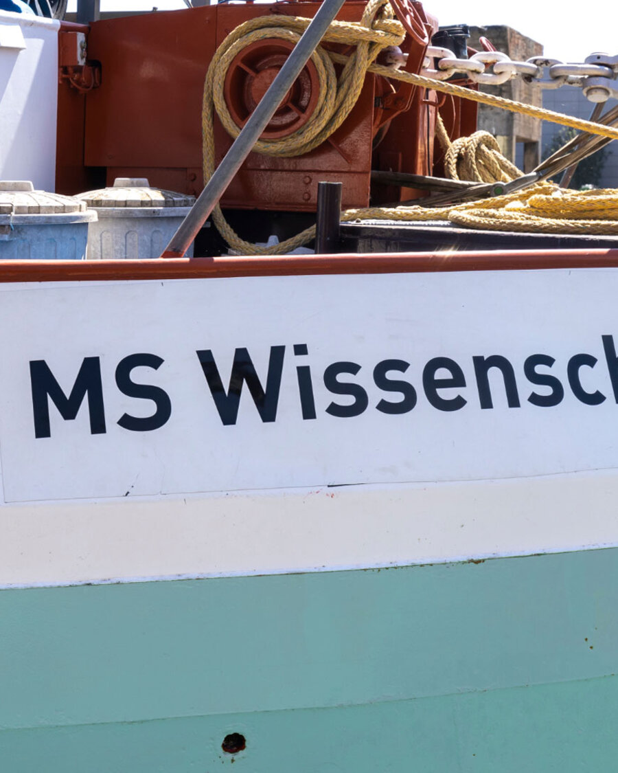 MS Wissenschaft, Brain City Berlin