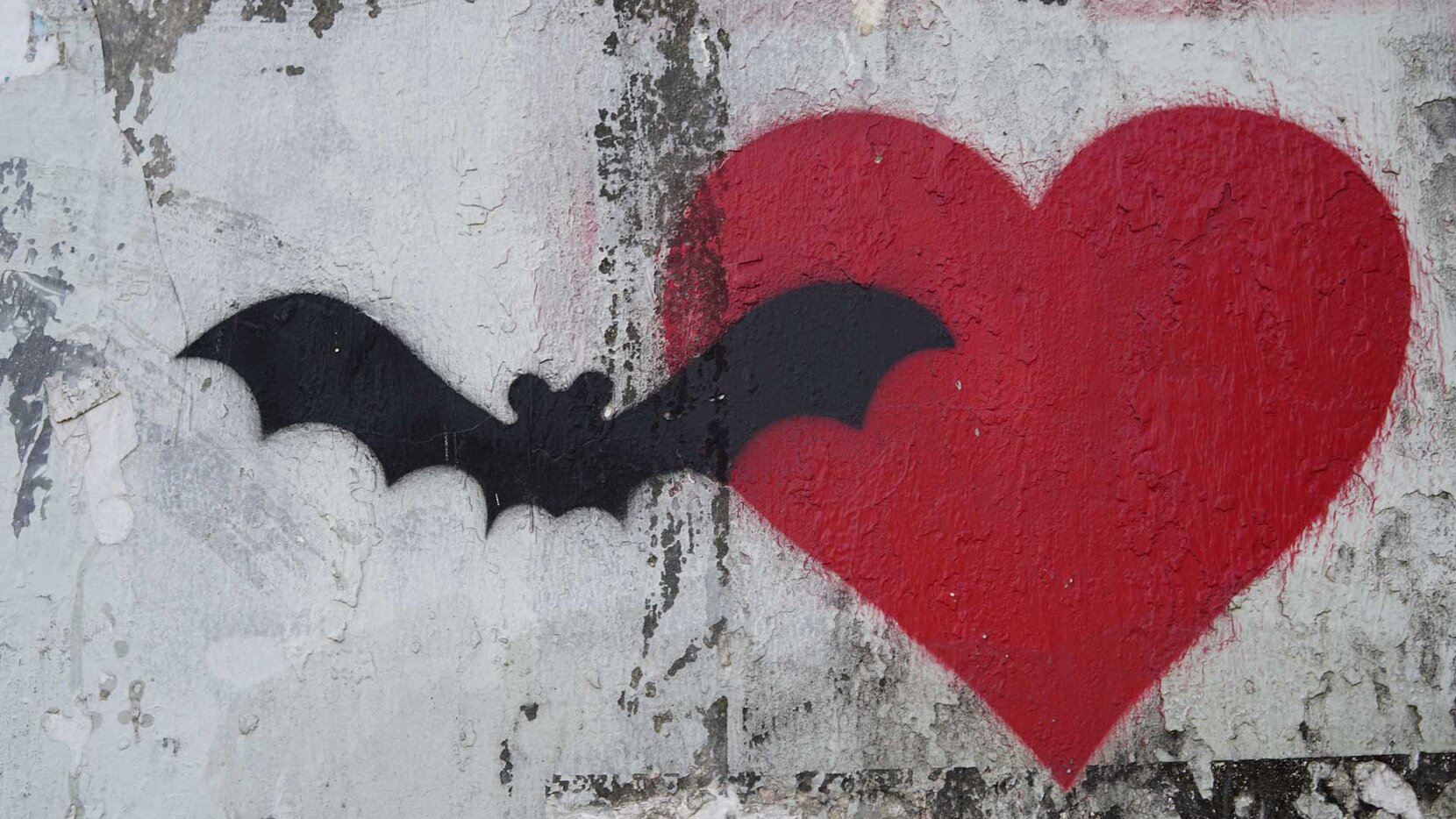 Fledermaus Grafiti