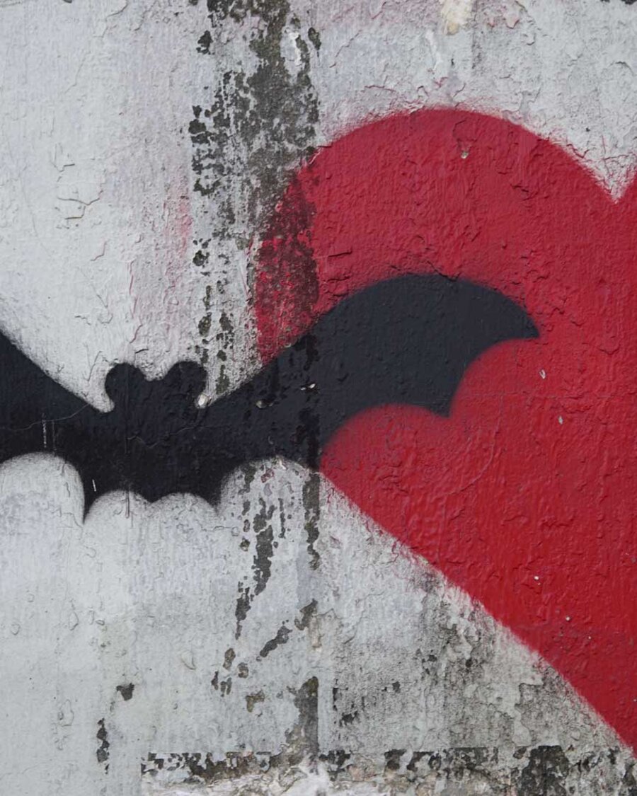 Fledermaus Grafiti