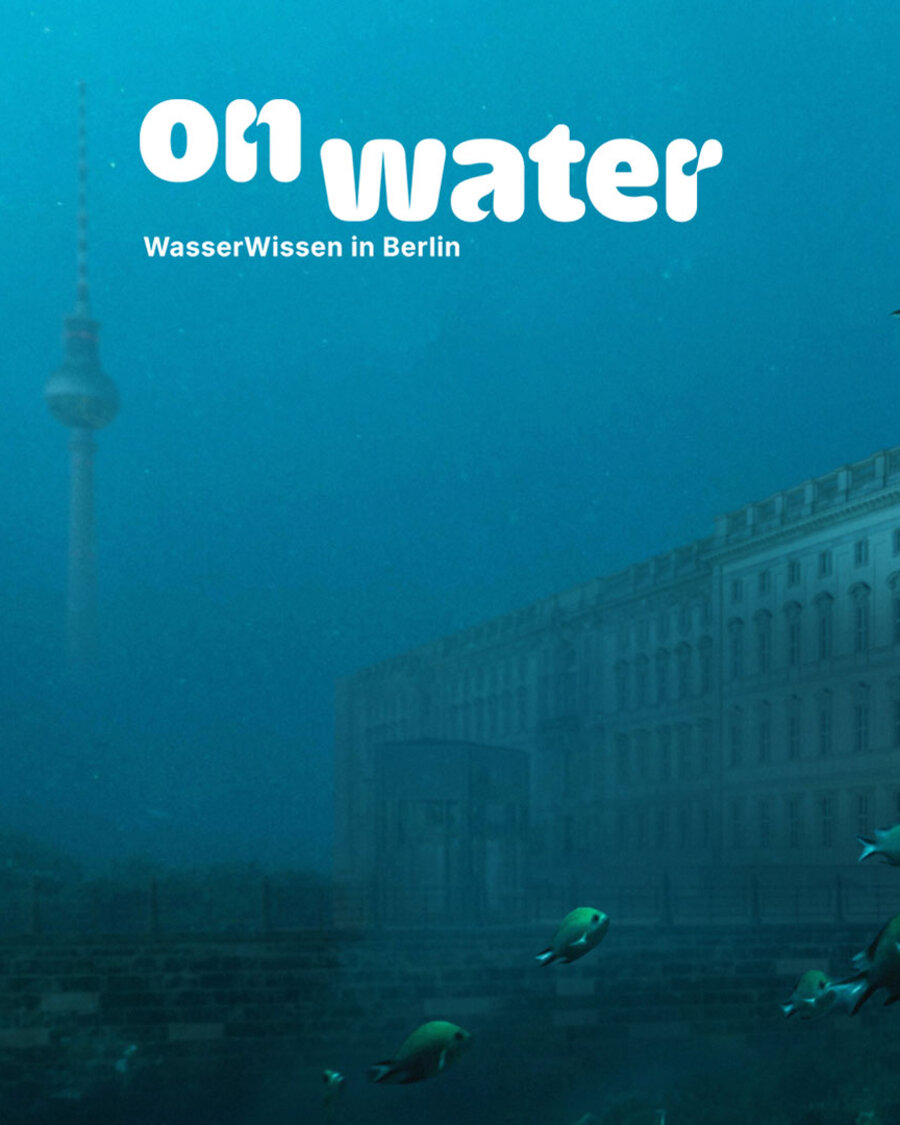 Humboldt Forum und Berliner Dom von der Spree aus betrachtet, Brain City Berlin