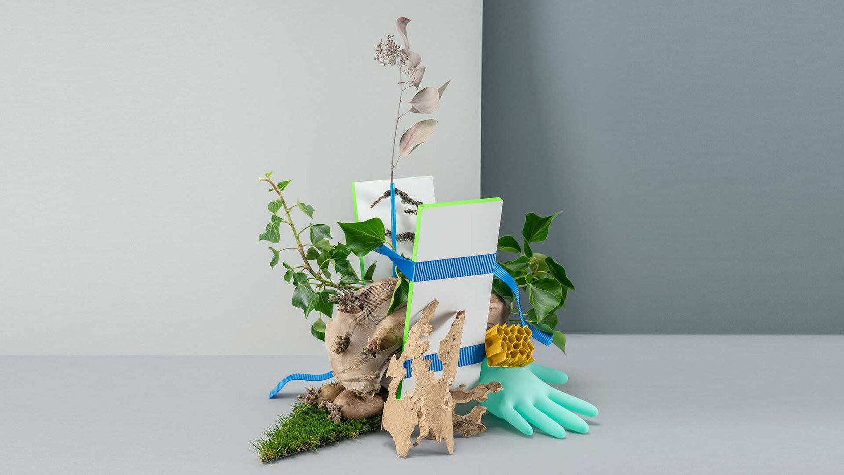 MACHT NATUR – eine Ausstellung, die Fragen stellt