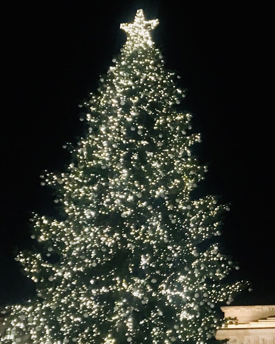 Weihnachtsbaum vor Quadriga