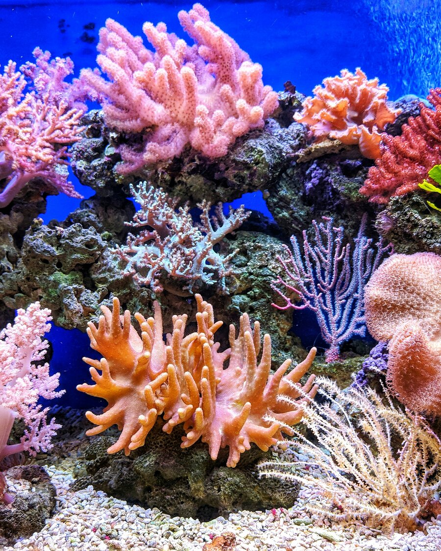 © Qui Nguyen via Unsplash