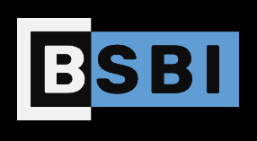 BSBI - Berlin School of Business and Innovation